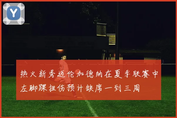 热火新秀迈伦加德纳在夏季联赛中左脚踝扭伤预计缺席一到三周